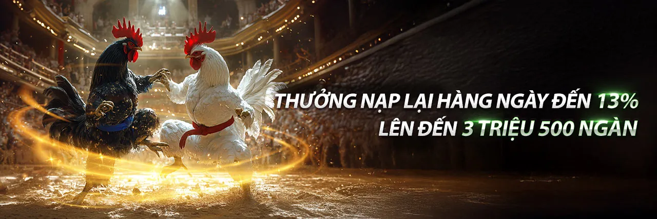 Đá gà trực tiếp 88 z - Sân chơi đẳng cấp